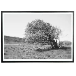 Sale Applicata - Plakat - Windy tree - Sort/Hvid - 30x40 cm