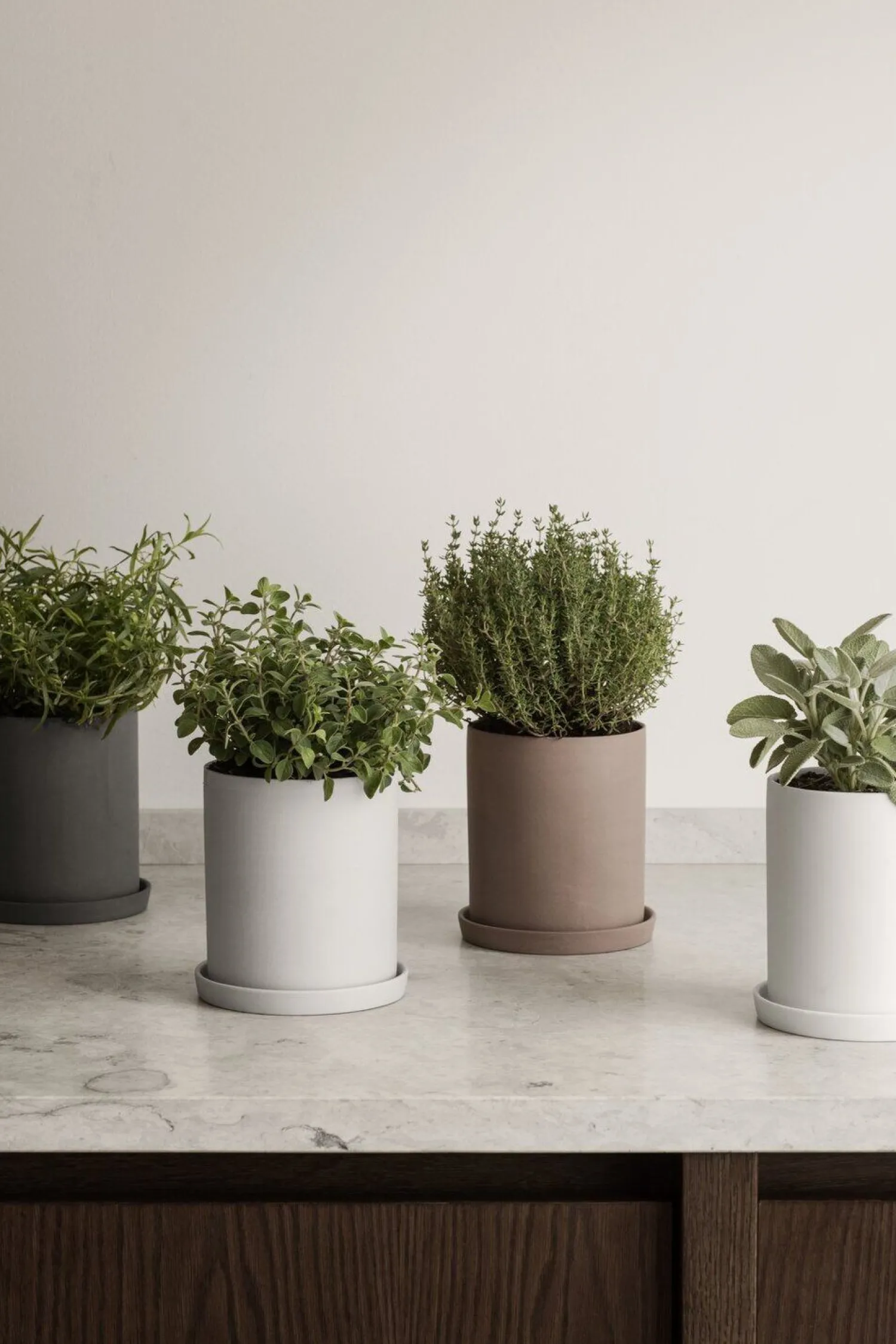 Online Blomus - Herb Pot - Micro Chip - NONA