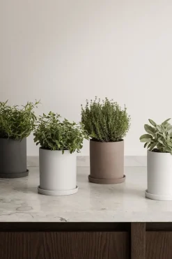 Outlet Blomus - Herb Pot - Pewter - NONA