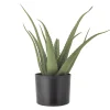 Hot Bloomingville - Aloe Kunstig Plante - Grøn, Plastik