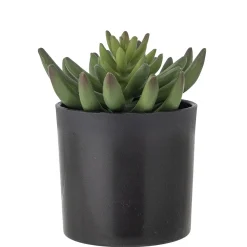 Bloomingville - Echeveria Kunstig Plante - Grøn, Plastik