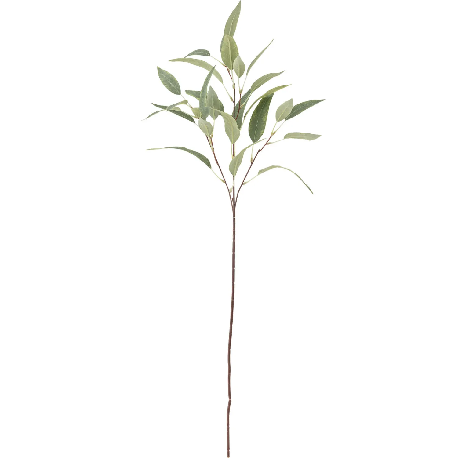 Discount Bloomingville - Eucalyptus Kunstig stilk - Grøn