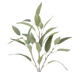 Discount Bloomingville - Eucalyptus Kunstig stilk - Grøn