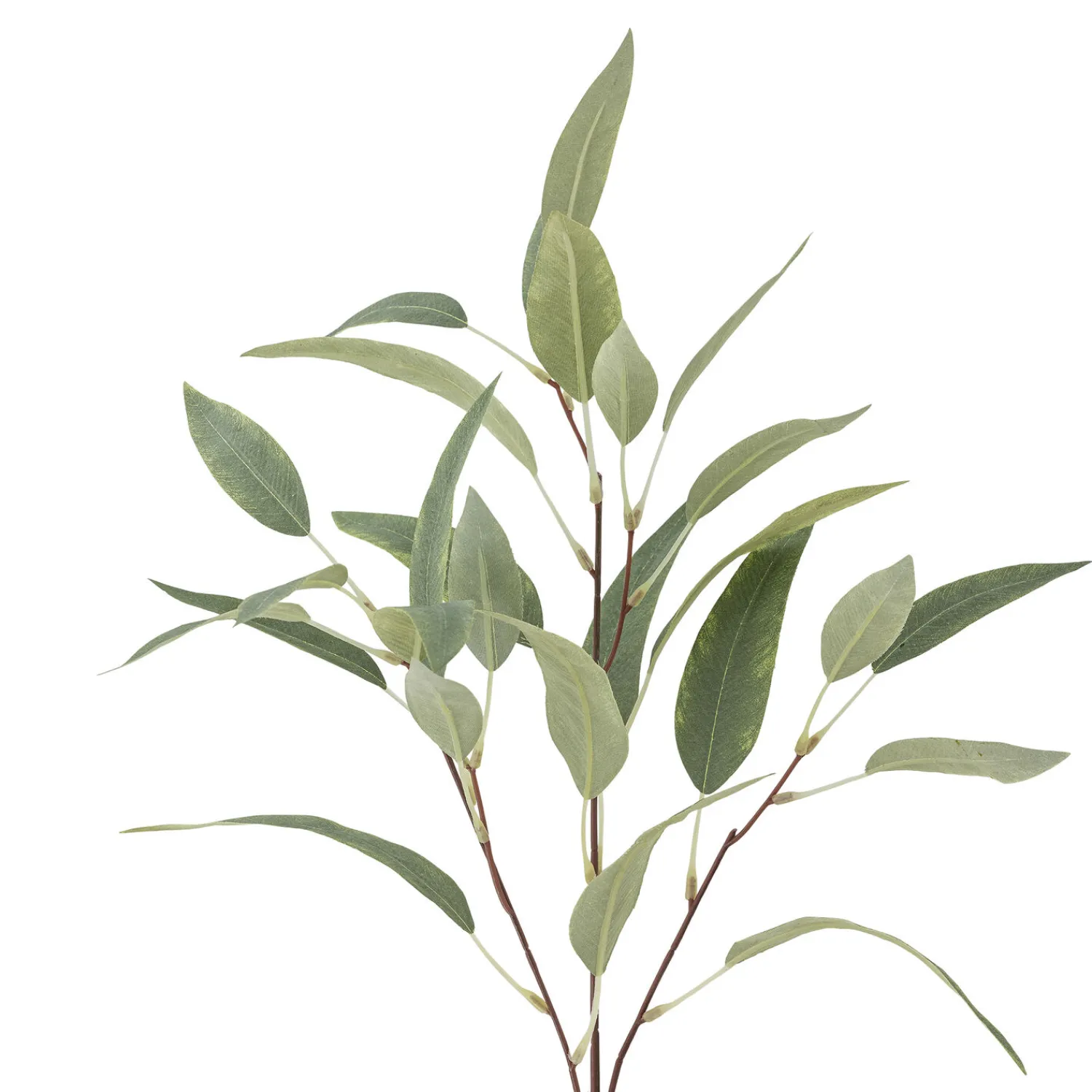 Discount Bloomingville - Eucalyptus Kunstig stilk - Grøn