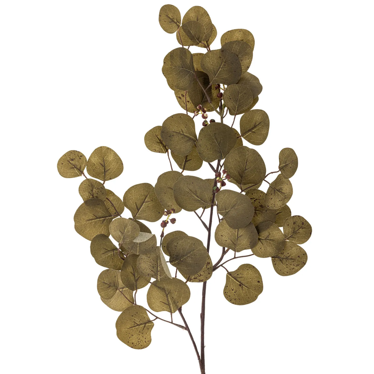 Sale Bloomingville - Eucalyptus Kunstig stilk - Brun, Plastik