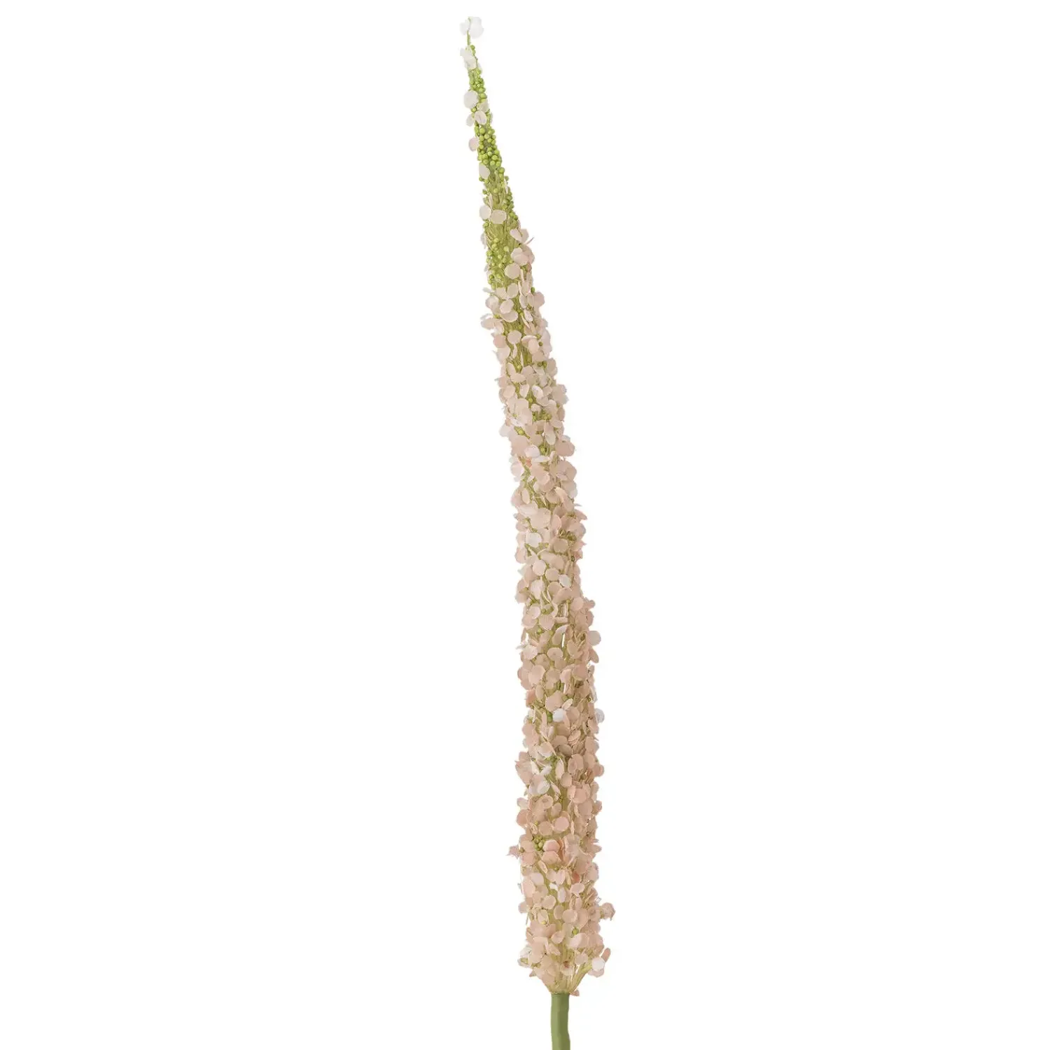 Hot Bloomingville - Foxtail Kunstig stilk - Rosa, Plastik