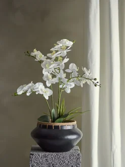Best Bloomingville - Orchid Kunstig Plante