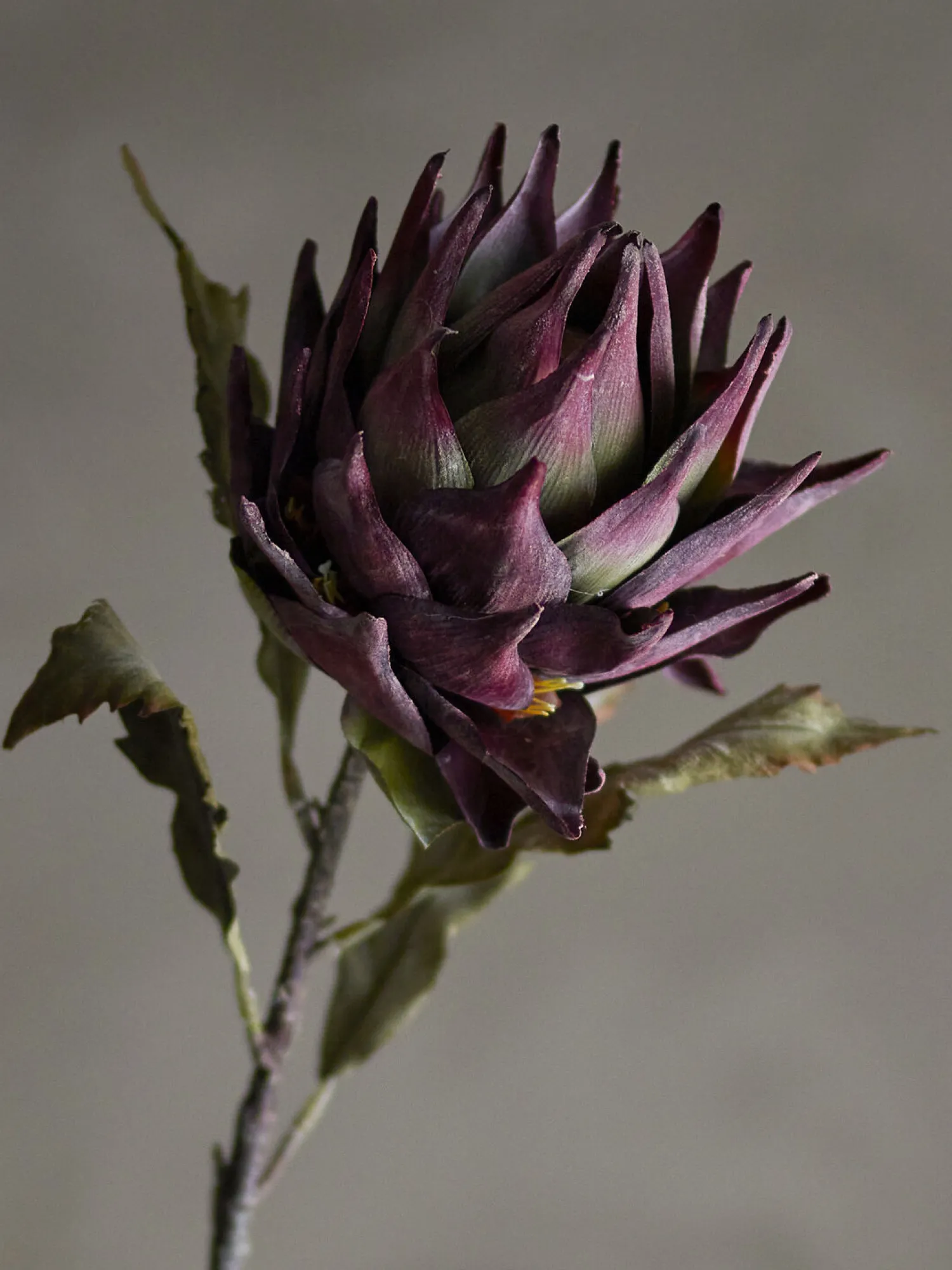 Bloomingville - Protea Kunstig stilk - Lilla