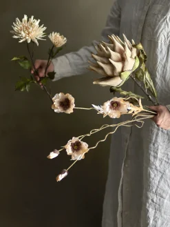 Clearance Bloomingville - Protea Kunstig stilk - Natur