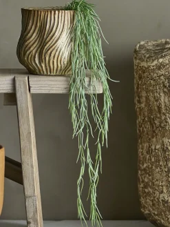 Online Bloomingville - Tilandsia Kunstig Plante - Grøn, Plastik
