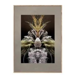 Online ChiCura - Vintage Reflection CC1 - 50/70