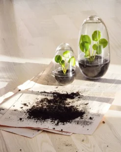 New Design House Stockholm - Grow Greenhouse - Medium