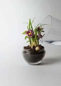 New Design House Stockholm - Grow Greenhouse - Medium