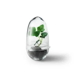 New Design House Stockholm - Grow Greenhouse - Small
