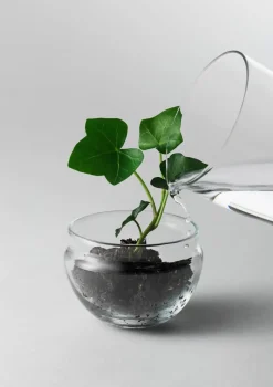 New Design House Stockholm - Grow Greenhouse - Small
