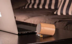 Discount Gingko - Drum Light Bluetooth Speaker Natural Beech Wood