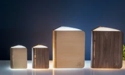 Sale Gingko - LED Smart Booklight- Mini Walnut