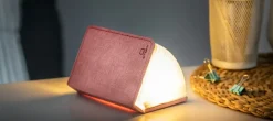 Online Gingko - LED Smart Fabric Booklight - Blush Pink - Mini