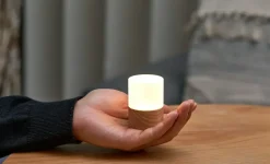 Hot Gingko - Lemelia Light - White Ash - Mini - 6x4 cm