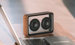 Hot Gingko - Mage See-through Bluetooth Speaker - Walnut