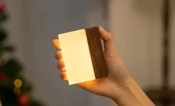 Sale Gingko - Natlampe - CuraCheese - Valnød