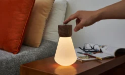 Clearance Gingko - Pentagon Light bulb Lamp Mini Natural Walnut Wood