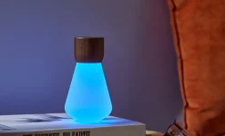 Clearance Gingko - Pentagon Light bulb Lamp Mini Natural Walnut Wood