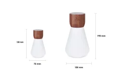 Clearance Gingko - Pentagon Light bulb Lamp Mini Natural Walnut Wood