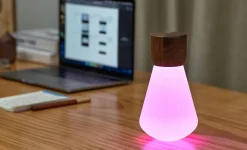 Clearance Gingko - Pentagon Light bulb Lamp Large Natural Walnut Wood