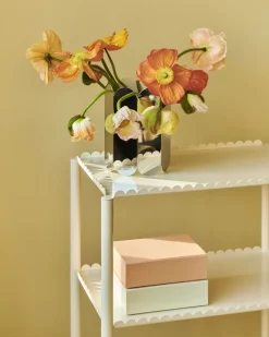Sale Hay - Opbevaringskasse - Colour Storage - X Small - Soft Pink