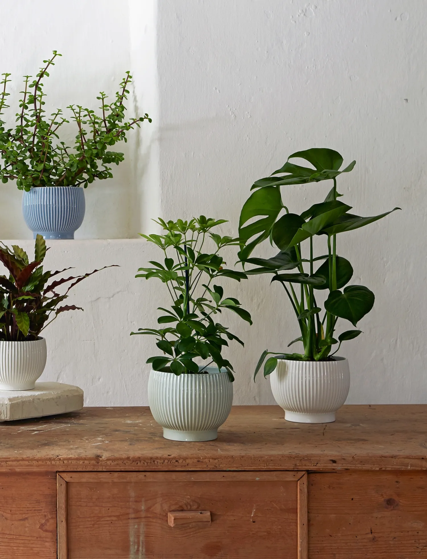 Sale Knabstrup Keramik - urtepotteskjuler Ø 18 cm ripple mint