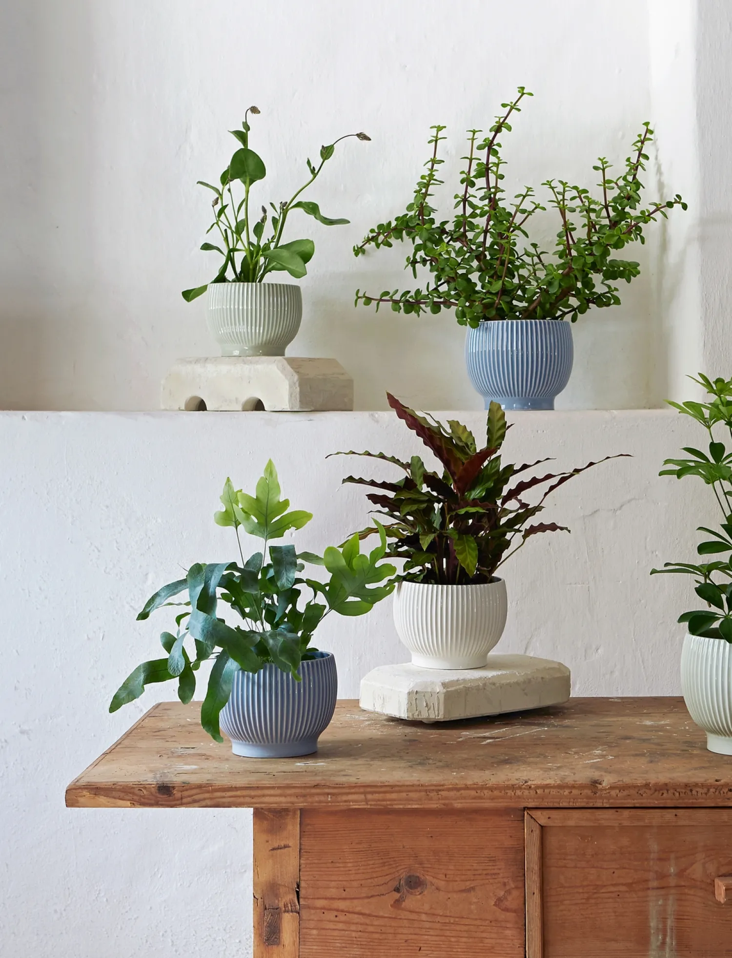 Sale Knabstrup Keramik - urtepotteskjuler Ø 18 cm ripple mint