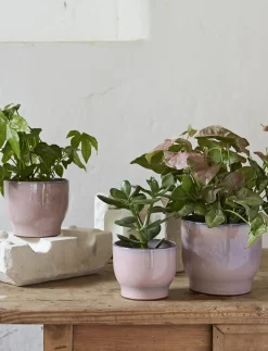 Discount Knabstrup Keramik - urtepotteskjuler Ø 16.5 cm rose