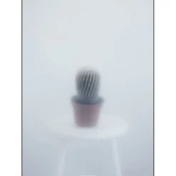 Clearance Kristina Dam - Ball Cactus II - poster 50x70 cm