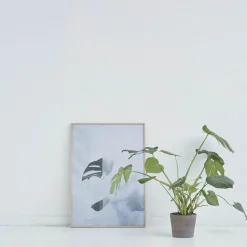 Discount Kristina Dam - Split-leaf I - poster 50x70 cm