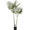 Online Lene Bjerre - Flora kentia palme H185 cm. grøn