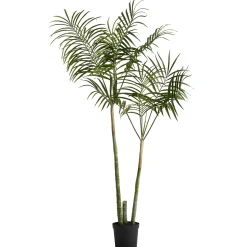 Online Lene Bjerre - Flora kentia palme H185 cm. grøn