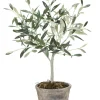 Best Lene Bjerre - Oliventræ Flora - 44 cm.