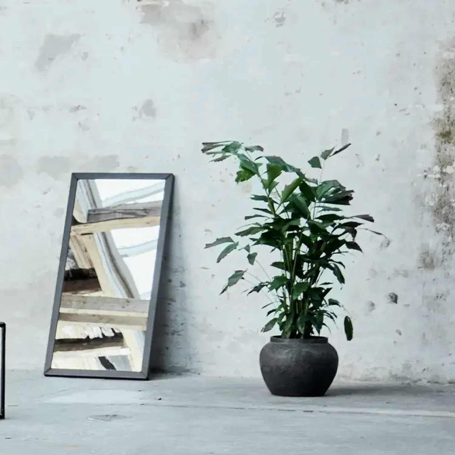 New Muubs - Krukke - Memory - Brun Terrakotta