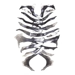 Clearance Paradisco Productions Paradisco Production illustration - ARMOUR A3