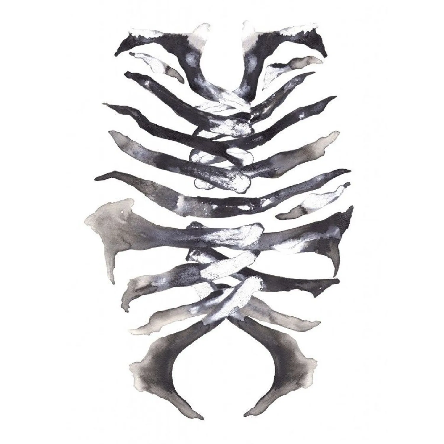 Clearance Paradisco Productions Paradisco Production illustration - ARMOUR A3