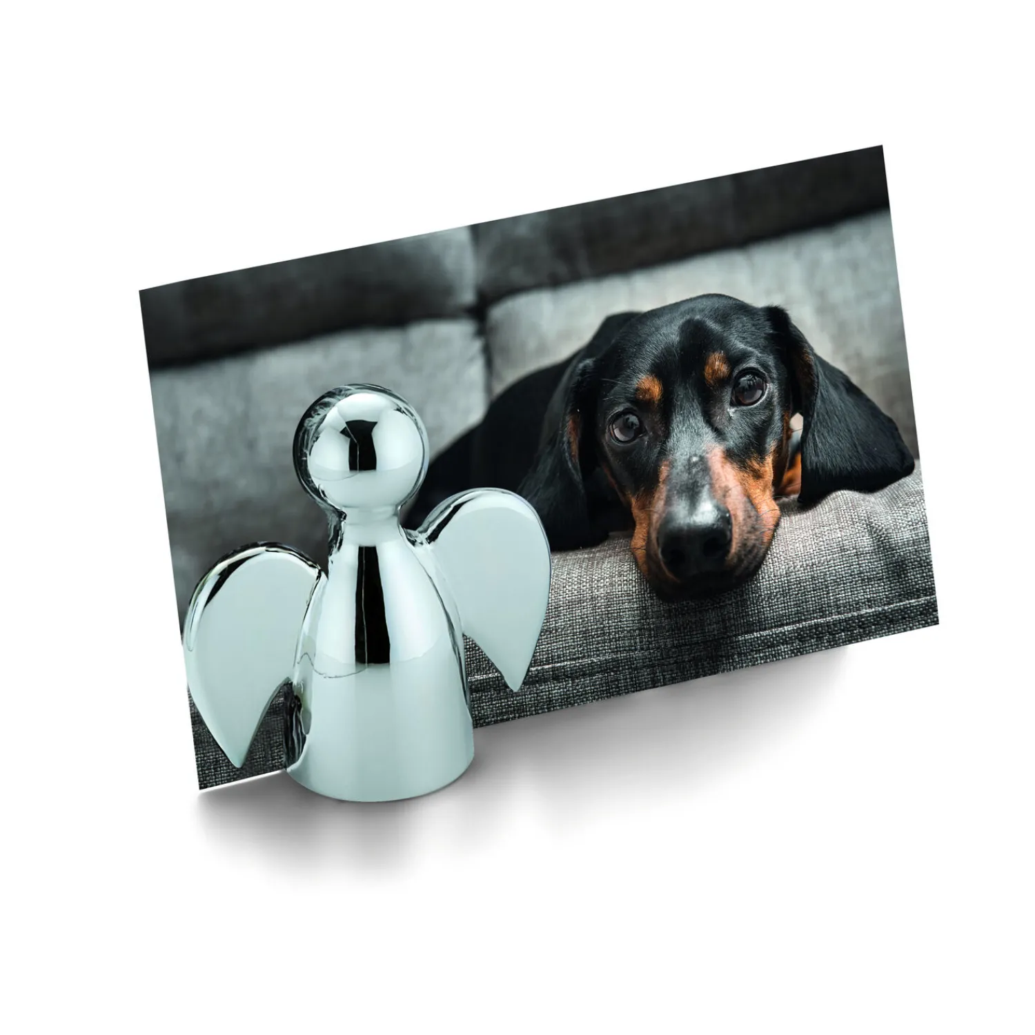 Discount Philippi - Angelo picture holder