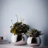 Discount Philippi - Bella vase S