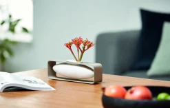 Best Philippi - Float vase, lateral