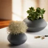 New Philippi - Holm vase S