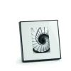 Online Philippi - Infinity frame 13 x 18 cm