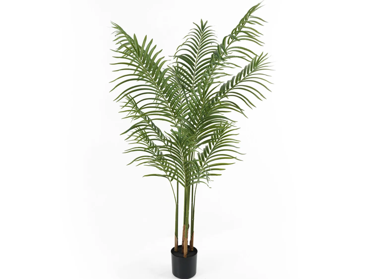 Online Present time - Artificial plant Kwai Tree