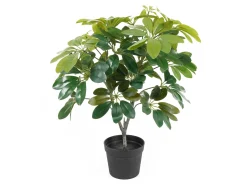 Clearance Present time - Artificial plant Shefflera green