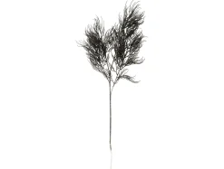 Online Present time - Artificial plant Asparagus Fern Stem black