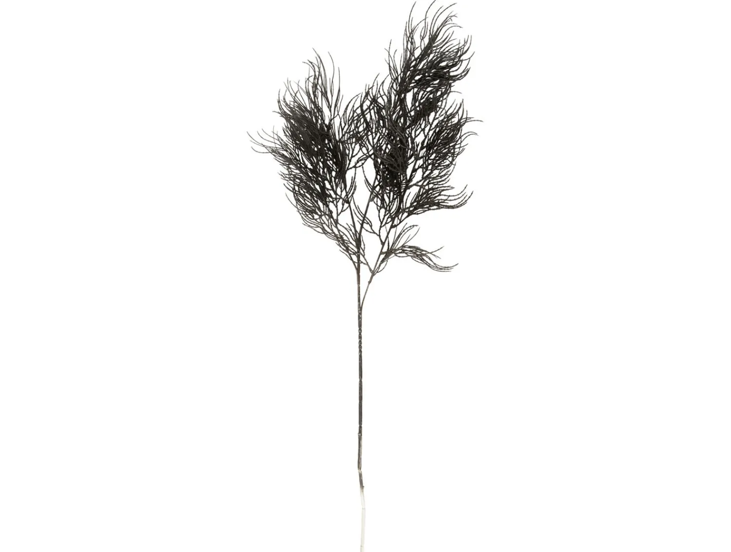 Online Present time - Artificial plant Asparagus Fern Stem black
